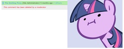 Size: 1510x600 | Tagged: safe, twilight sparkle, derpibooru, g4, :i, meta, text, the smiling pony, wut face