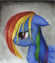 Size: 706x802 | Tagged: safe, artist:takomomo, rainbow dash, pony, g4, female, rain, solo, traditional art, wet, wet mane