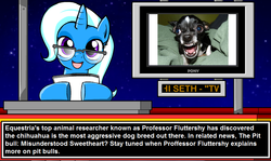 Size: 1004x600 | Tagged: safe, artist:marcusmaximus, trixie, dog, minty fresh adventure, g4, exploitable meme, female, glasses, irl dog, mare, news, news meme, night, platformer