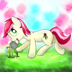 Size: 1000x1000 | Tagged: safe, artist:cheshiresdesires, roseluck, earth pony, pony, g4, female, flower, looking up, mare, solo, watering can