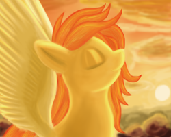 Size: 1280x1024 | Tagged: safe, artist:cheshiresdesires, spitfire, g4, bust, large wings, solo, spread wings, wings