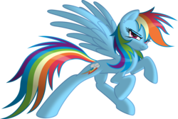 Size: 3314x2222 | Tagged: safe, artist:itchykitchy, rainbow dash, pegasus, pony, g4, 2013, female, high res, looking at you, mare, simple background, smiling, smiling at you, smirk, solo, spread wings, transparent background, vector, wings