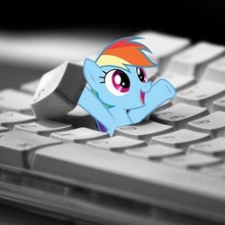 Size: 400x400 | Tagged: source needed, useless source url, safe, edit, rainbow dash, g4, cute, dashabetes, i hid in your keyboard, irl, keyboard, photo