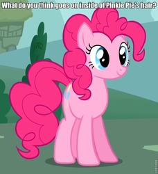 Size: 566x621 | Tagged: safe, pinkie pie, g4, hair, image macro, meta, question, roflbot