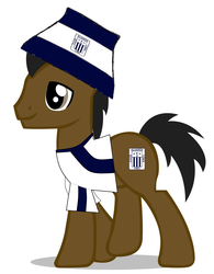 Size: 2188x2800 | Tagged: safe, artist:choncha1996, oc, oc only, pony, alianza lima, clothes, hat, peru, peruvian, shirt, solo, spanish