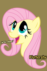 Size: 640x960 | Tagged: safe, fluttershy, g4, iphone wallpaper, text, trolling, you mad?