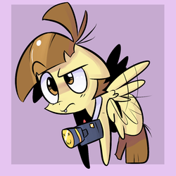 Size: 1000x1000 | Tagged: safe, artist:spanish-scoot, featherweight, pony, g4, camera, male, solo