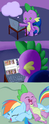 Size: 599x1500 | Tagged: safe, artist:girgrunny, rainbow dash, spike, g4, butthurt, spike drama, spike's laptop