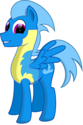 Size: 2654x4000 | Tagged: safe, artist:ambassad0r, oc, oc only, simple background, transparent background, vector, wonderbolt trainee uniform