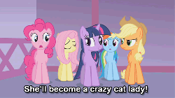 Size: 500x280 | Tagged: safe, screencap, applejack, fluttershy, pinkie pie, rainbow dash, twilight sparkle, g4, suited for success, animated, female, image macro