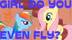 Size: 640x360 | Tagged: safe, fluttershy, rainbow dash, g4, do you even lift, image macro