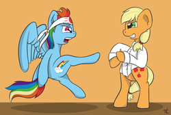 Size: 1576x1060 | Tagged: safe, artist:php192, applejack, rainbow dash, g4, fight, karate, kung fu, rivalry