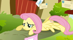 Size: 956x536 | Tagged: safe, screencap, fluttershy, pony, g4, putting your hoof down, doormat, letter, pun, visual pun
