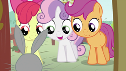 Size: 994x559 | Tagged: safe, screencap, angel bunny, apple bloom, scootaloo, sweetie belle, g4, my little pony: friendship is magic, ponyville confidential, cutie mark crusaders, gabby gums