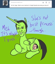 Size: 1000x1145 | Tagged: safe, alicorn, pony, april fools, hate mail for twist, nicolas cage, ponified, you don't say