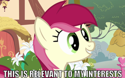 Size: 1000x625 | Tagged: safe, edit, edited screencap, screencap, roseluck, pony, a friend in deed, g4, my little pony: friendship is magic, caption, female, image macro, reaction image, relevant to my interests, smiling, solo