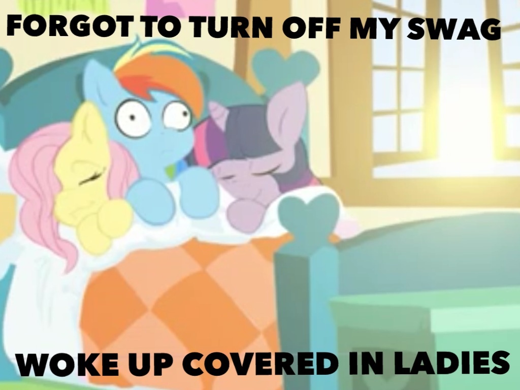 Three curious ponies