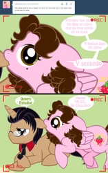 Size: 1236x1962 | Tagged: safe, artist:shinta-girl, oc, oc only, oc:shinta pony, ask, comic, spanish, translated in the description, tumblr