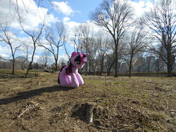 Size: 4608x3456 | Tagged: safe, artist:pmbsakura37, twilight sparkle, pony, unicorn, g4, central park, horn, irl, new york city, outdoors, photo, plushie, solo focus, unicorn twilight