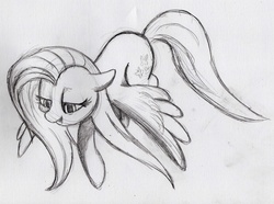 Size: 3095x2308 | Tagged: safe, artist:otto720, fluttershy, g4, sketch, solo, spread wings, traditional art, wings