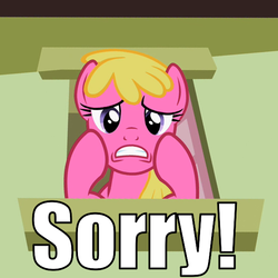 Size: 600x600 | Tagged: safe, cherry berry, mare do well, g4, caption, frown, image macro, reaction image, sorry