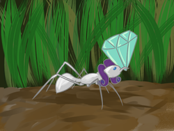 Size: 800x600 | Tagged: safe, artist:tggeko, rarity, ant, insect, g4, diamond, gem, insectified, solo, species swap