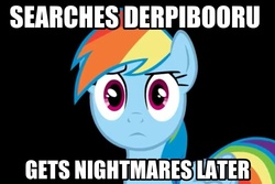 Size: 960x640 | Tagged: safe, rainbow dash, g4, image macro, why