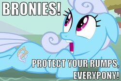 Size: 1050x700 | Tagged: safe, edit, edited screencap, screencap, linky, shoeshine, earth pony, pony, g4, magic duel, brony, caption, fear, female, implied rape, mare, scared, screaming, solo, text