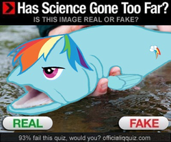 Size: 500x415 | Tagged: safe, rainbow dash, fish, rainbow trout, g4, fishified, has science gone too far?, real or fake, science, seems legit