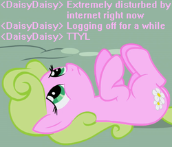 Size: 700x600 | Tagged: safe, daisy, flower wishes, earth pony, pony, g4, caption, chat, disturbed, existential daisy, female, image macro, internet, mare, on back