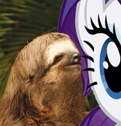 Size: 300x314 | Tagged: safe, rarity, sloth, g4, rape sloth, wat