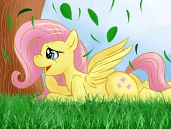 Size: 1024x768 | Tagged: safe, artist:shinkuma, fluttershy, pony, g4, female, grass, solo