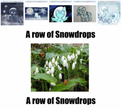 Size: 1334x1200 | Tagged: safe, oc, oc only, oc:snowdrop, derpibooru, exploitable meme, juxtaposition, juxtaposition win, meme, meta, photo, plant, pun, snowdrop (flower)