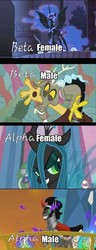 Size: 378x989 | Tagged: safe, discord, king sombra, nightmare moon, queen chrysalis, g4, antagonist