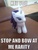 Size: 720x960 | Tagged: safe, rarity, g4, funrise, image macro, irl, photo, plushie