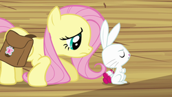 Size: 1280x720 | Tagged: safe, screencap, angel bunny, fluttershy, g4, just for sidekicks, disapproval, unhappy