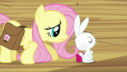 Size: 1280x720 | Tagged: safe, screencap, angel bunny, fluttershy, g4, just for sidekicks, my little pony: friendship is magic, disapproval, unhappy