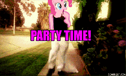 Size: 500x300 | Tagged: dead source, safe, edit, opalescence, pinkie pie, cat, g4, animated, dancing, female, irl, male, meme, photo, smiling, youtube link