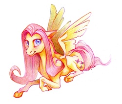 Size: 800x682 | Tagged: safe, artist:kapieren, fluttershy, horse, pony, g4, female, solo