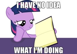 Size: 500x354 | Tagged: safe, twilight sparkle, g4, book, filly, image macro, reading