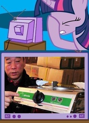 Size: 562x771 | Tagged: safe, twilight sparkle, human, g4, china, exploitable meme, facehoof, fail, iphone, meme, seems legit, stove, tv meme