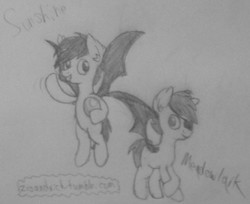 Size: 1176x960 | Tagged: safe, artist:zesandvich, oc, oc only, oc:frolicsome meadowlark, oc:sunshine smiles (egophiliac), bat pony, pony, moonstuck, 30 minute art challenge, grayscale, monochrome, pencil drawing, traditional art