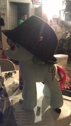 Size: 1840x3264 | Tagged: safe, rainbow dash, g4, build-a-bear, hat, irl, photo, plushie, trilby