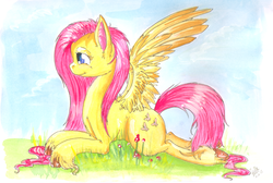 Size: 4897x3287 | Tagged: safe, artist:twilightsilvermoon, fluttershy, pegasus, pony, g4, female, lying down, mare, signature, solo