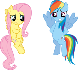 Size: 9000x8022 | Tagged: safe, artist:uxyd, fluttershy, rainbow dash, pegasus, pony, g4, party of one, absurd resolution, duo, simple background, transparent background, vector