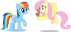 Size: 8192x3673 | Tagged: safe, artist:mewtwo-ex, fluttershy, rainbow dash, pegasus, pony, rabbit, g4, may the best pet win, animal, duo, female, flying, mare, raised hoof, simple background, transparent background, vector