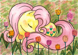 Size: 699x494 | Tagged: safe, artist:midori-no-ink, posey, g1, g4, flower, g1 to g4, generation leap, sleeping