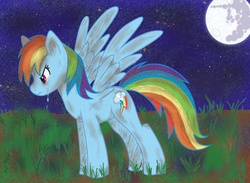 Size: 1500x1100 | Tagged: safe, artist:hartbits, rainbow dash, g4, crying