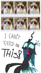 Size: 838x1471 | Tagged: safe, queen chrysalis, g4, grumpy cat, meme, tard the grumpy cat