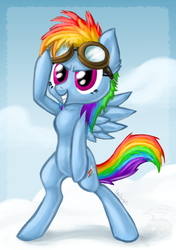 Size: 750x1064 | Tagged: safe, artist:metallicumbrage, rainbow dash, pegasus, pony, g4, bipedal, cloud, cloudy, female, goggles, mare, signature, solo, standing